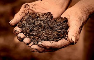 Man holding soil in hands