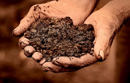 Man holding soil in hands