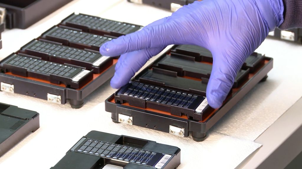 It's all in the genes getting to grips with DNA testing TechRadar