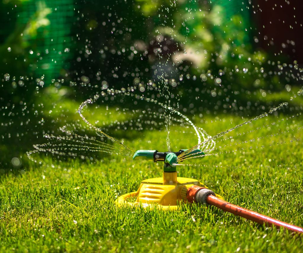 Should you water the lawn at night? Lawn care experts advise | Homes ...