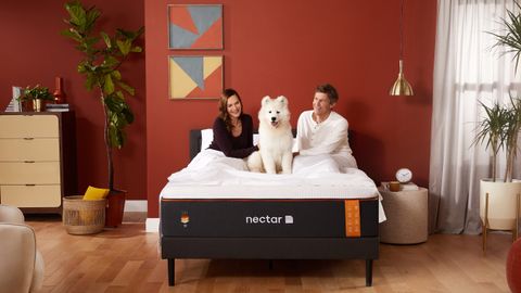 Nectar Premier Copper Mattress review main image shows two people and a dog enjoying the mattress