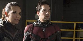 Ant-man And The Wasp Paul Rudd Evangeline Lilly