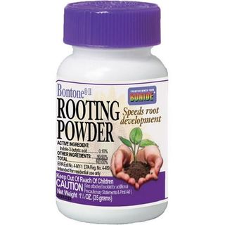 Bontone Rooting Powder