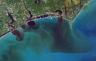 Snapped on Sept. 19th by NASA's Operational Land Imager on the Landsat 8 satellite, this image shows polluted waters following Hurricane Florence.