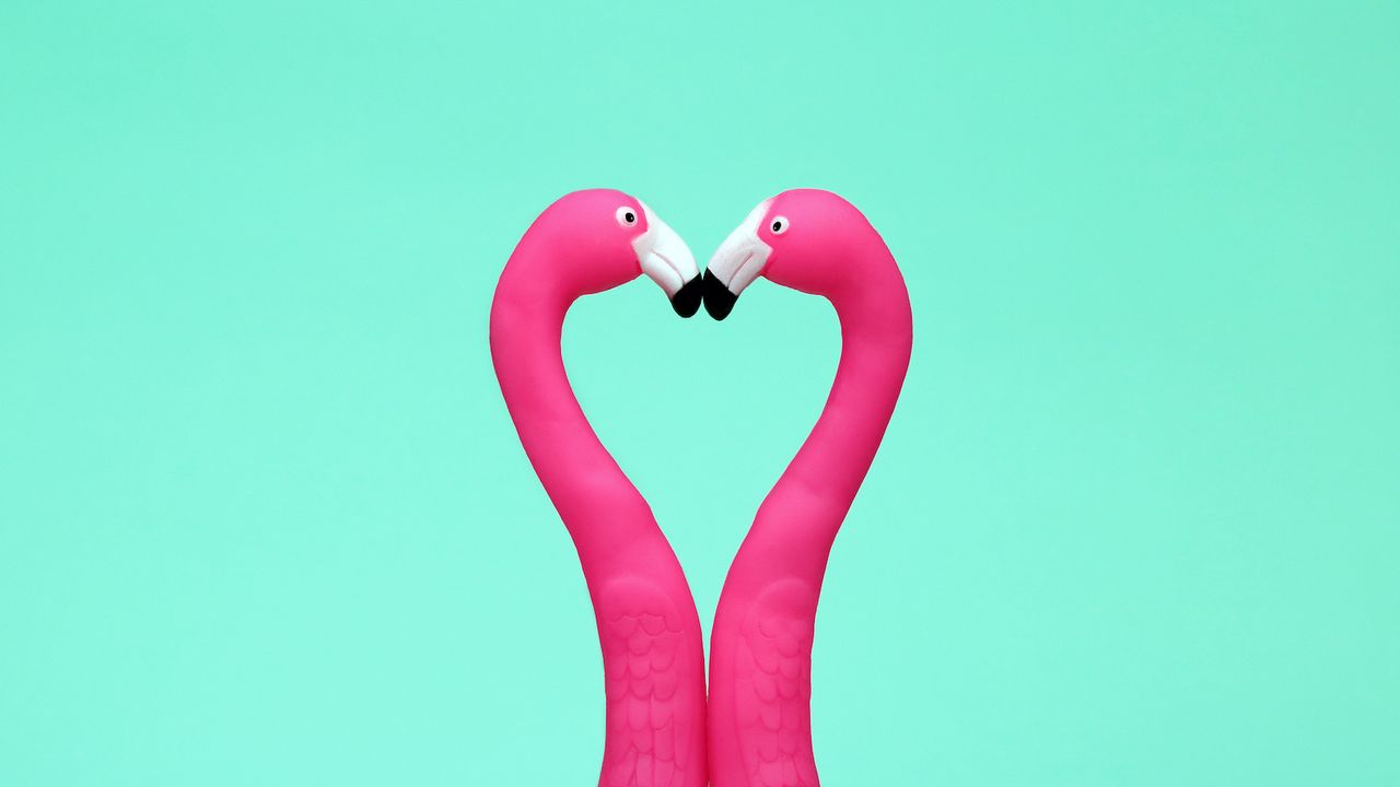 twin flame, twin flame meaning, two flamingos kissing making love heart shape