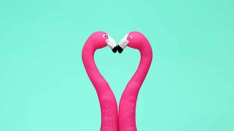 twin flame, twin flame meaning, two flamingos kissing making love heart shape
