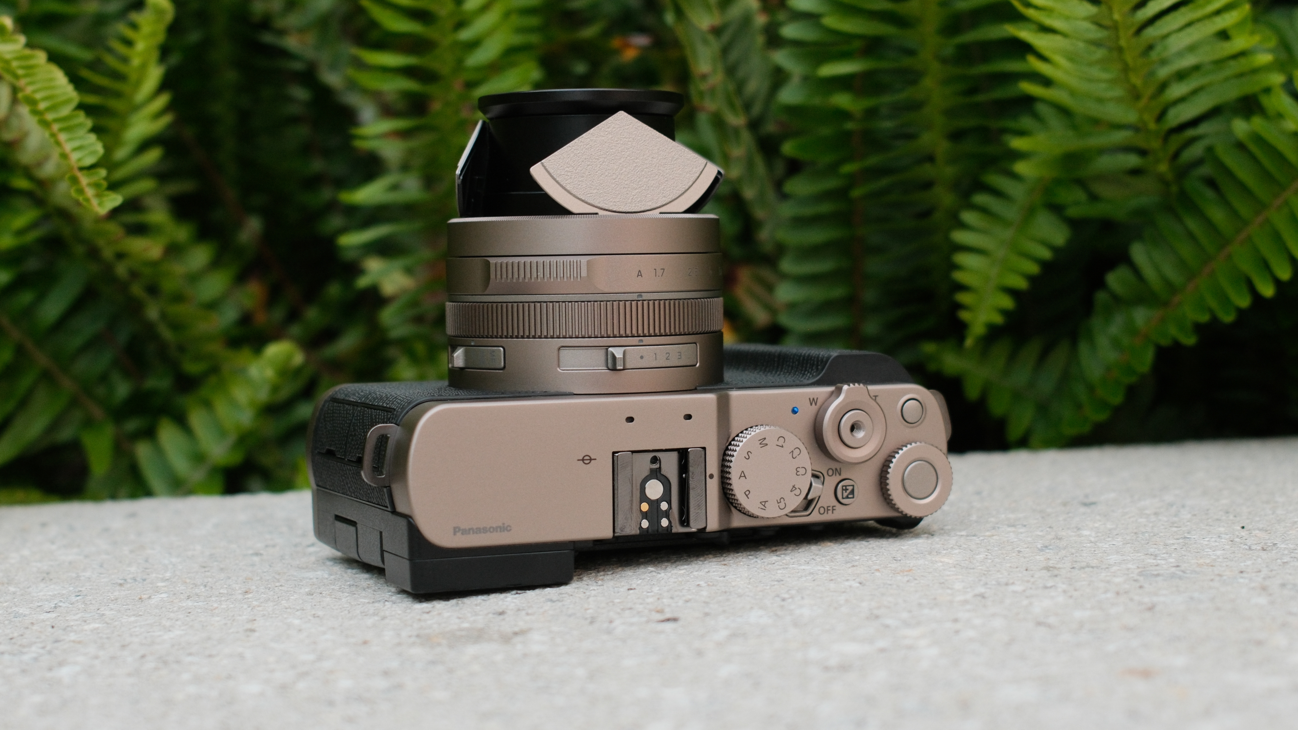 Close-up of the Lumix L10 lens and top controls against a leafy background.
