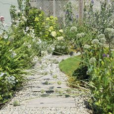 garden with flower plants and stones