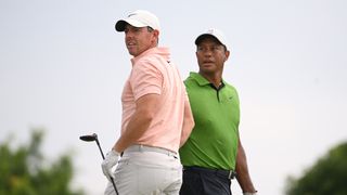 Rory McIlroy and Tiger Woods watch on during a PGA Tour round