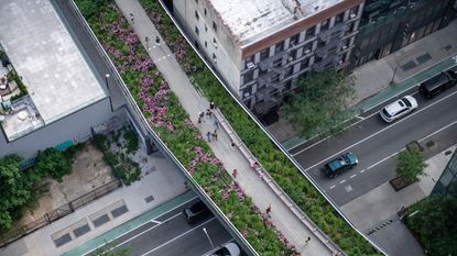 Aerial view of the High Line with green planting above a busy city