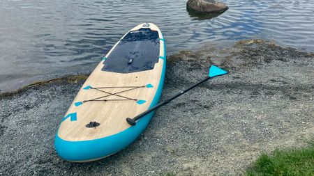 Wave Woody paddle board on the water's edge