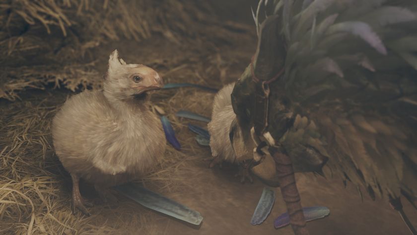 Monster Hunter Wilds Seikret customization - Chick