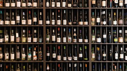 Shelves filled with bottles of wine