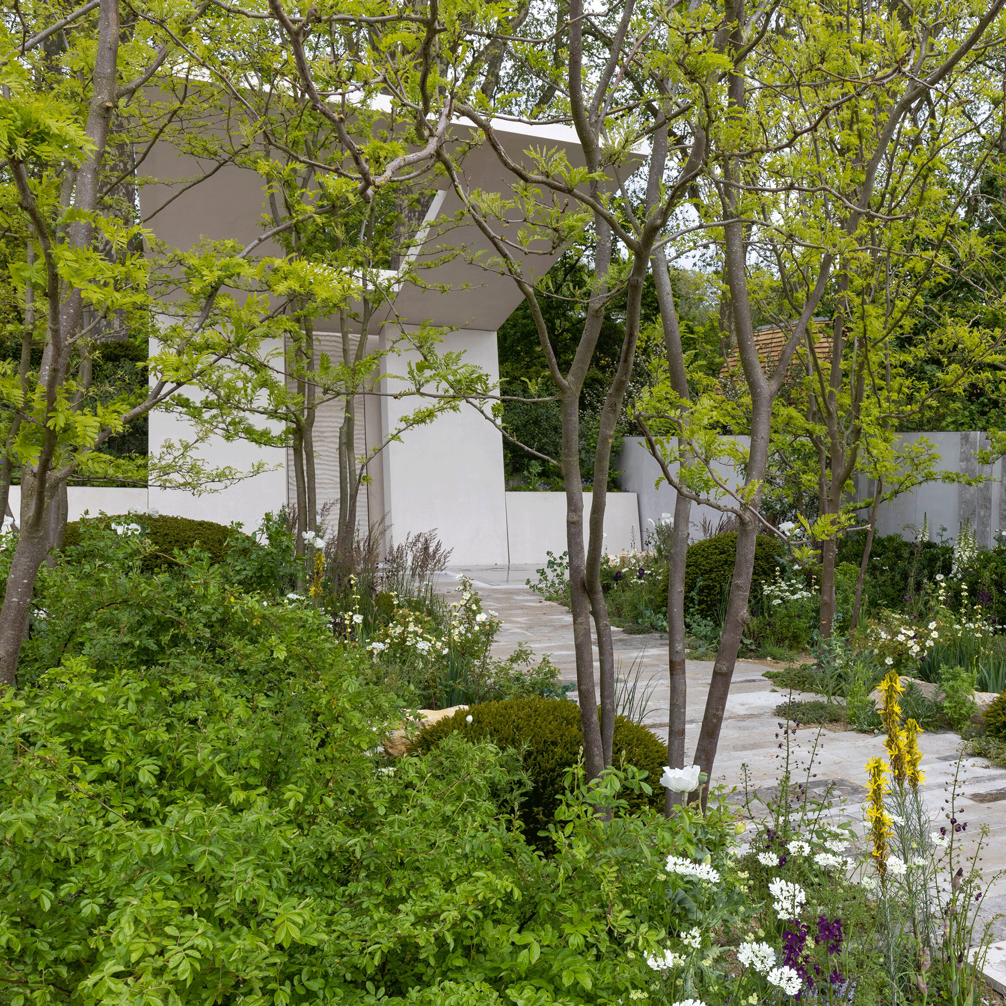 Garden with large white structure and pavement