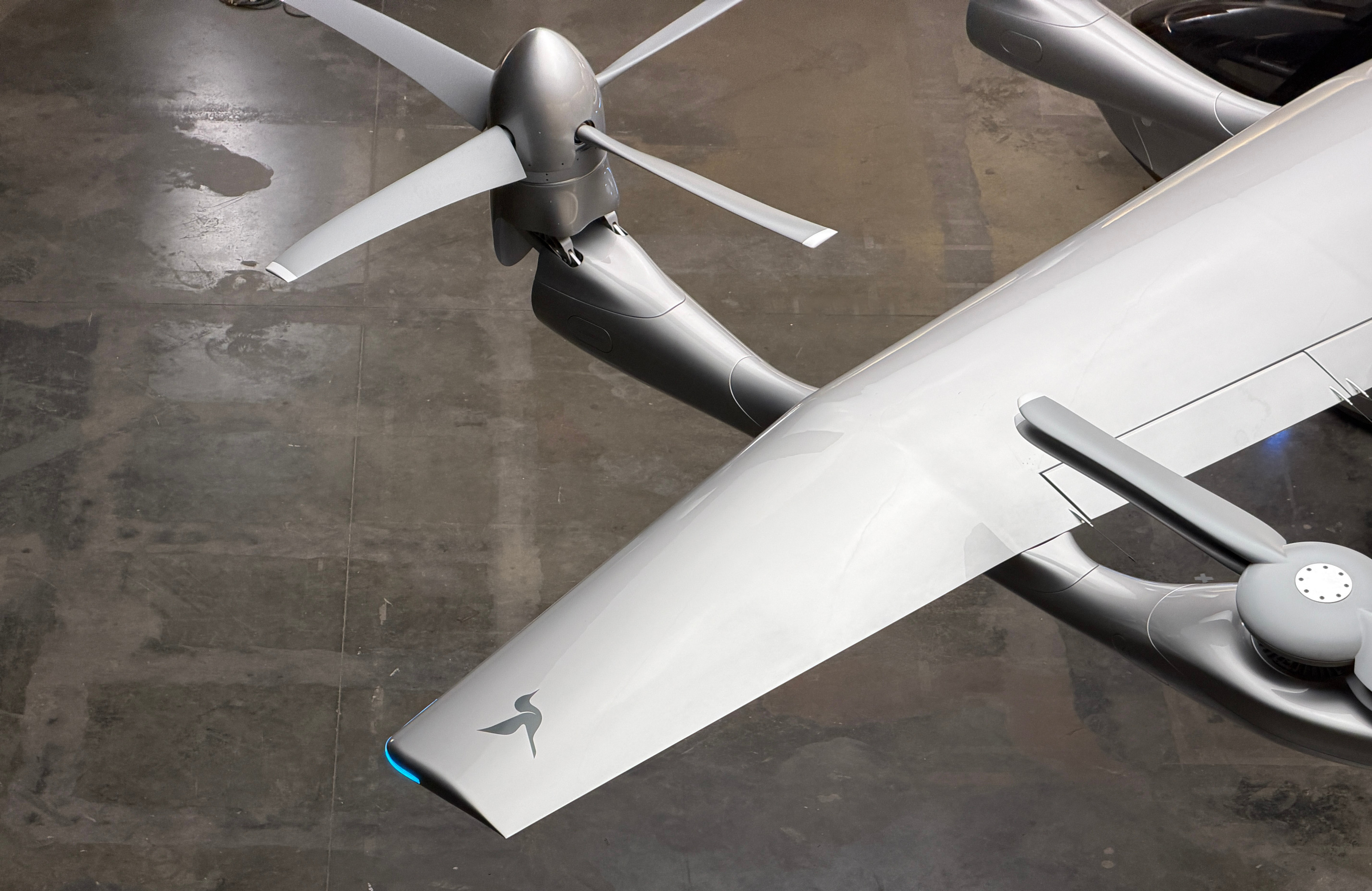 Details of the revised hummingbird logo on the wing of the Valo