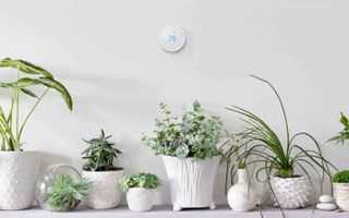 Nest Thermostat E review