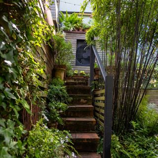 Stairs in a small garden