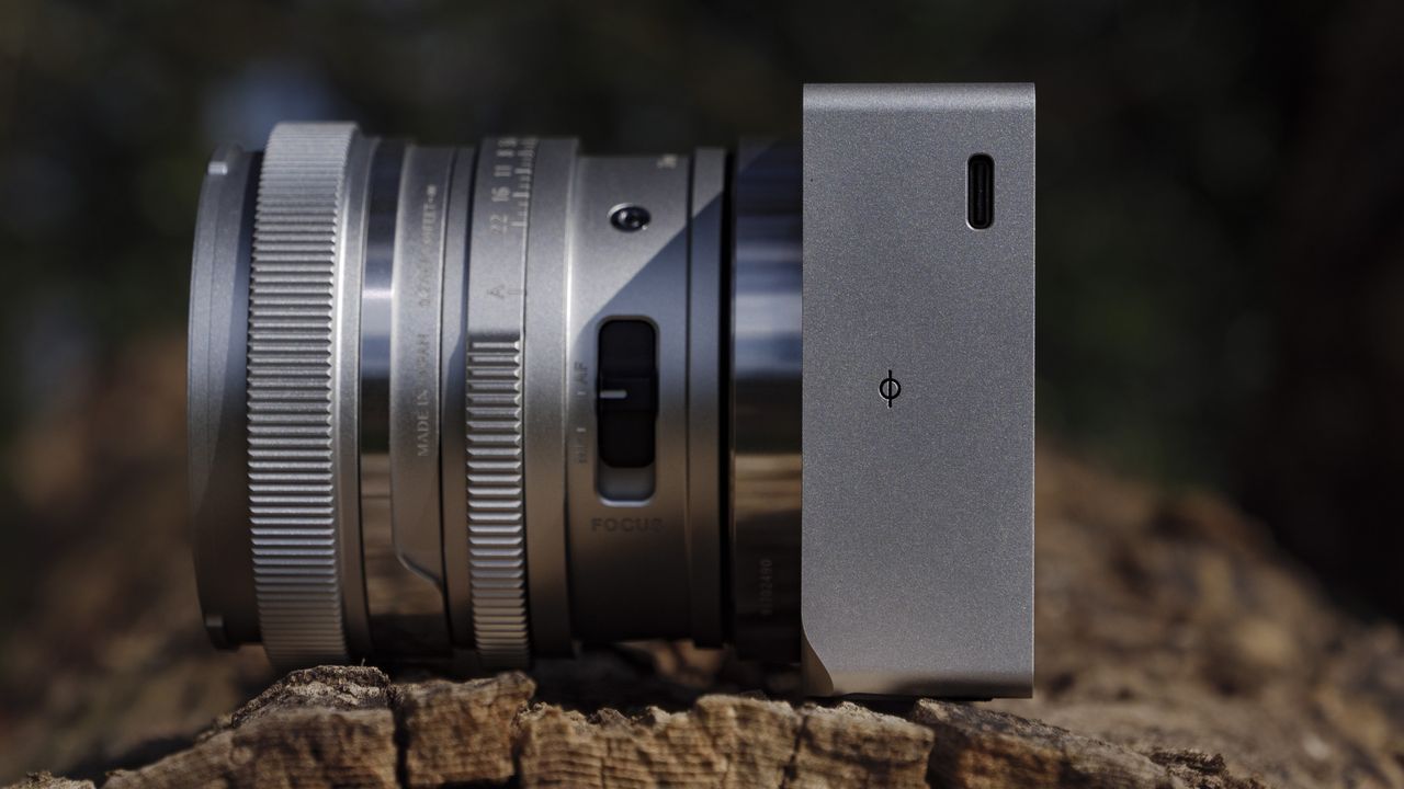 Silver Sigma BF camera with 35mm f/2 DG contemporary lens attached, on a large log