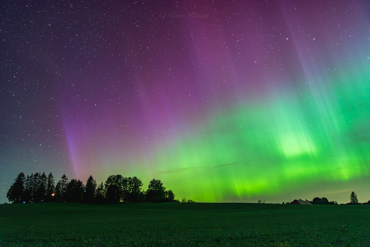 Aurora borealis photographed by Kairo Kiitsak, Estronia.