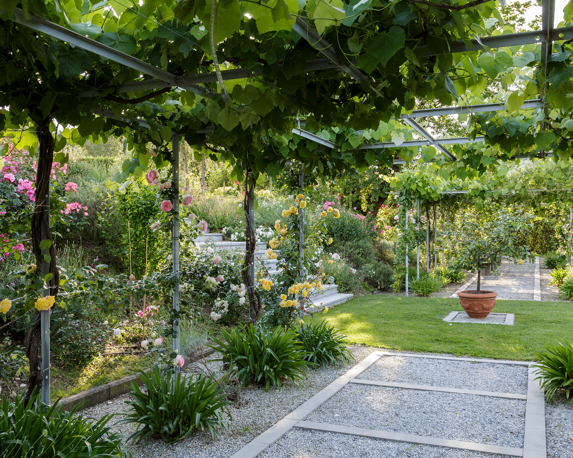 A wooden pergola draped in foliage with a gravel path below