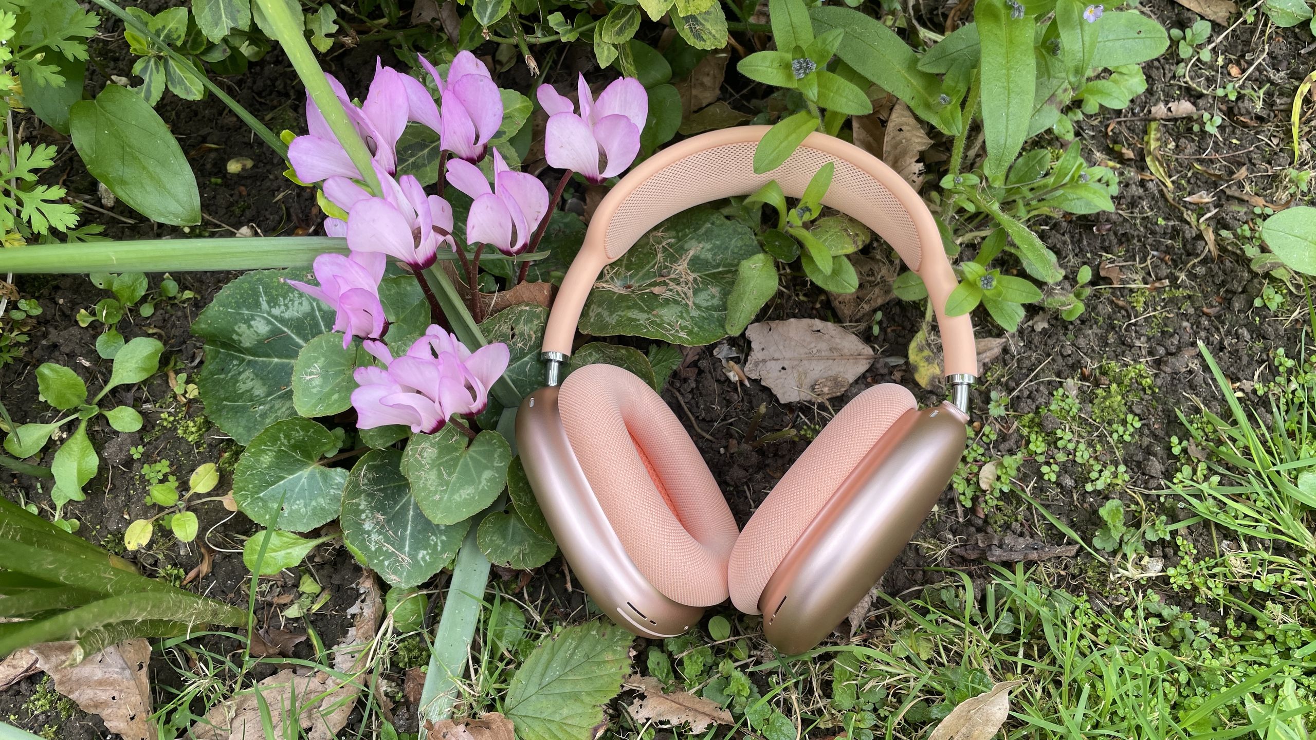 'Doubtless the best noise-cancelling iPhone headphones on…