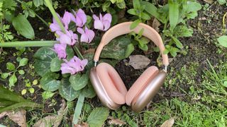 Apple AirPods Max 2 in orange with AirPods Max just visible in purple, outside in a garden on a bench, held in a hand