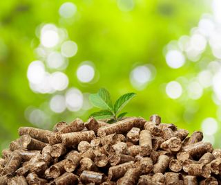 small pile of wood pellets with blurred green background and small leaf placed on top of pellets