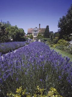 Marie Claire Reviews: Le Manoir aux Quat&#039; Saisons