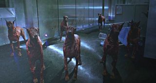 A group of T-virus dogs in Resident Evil