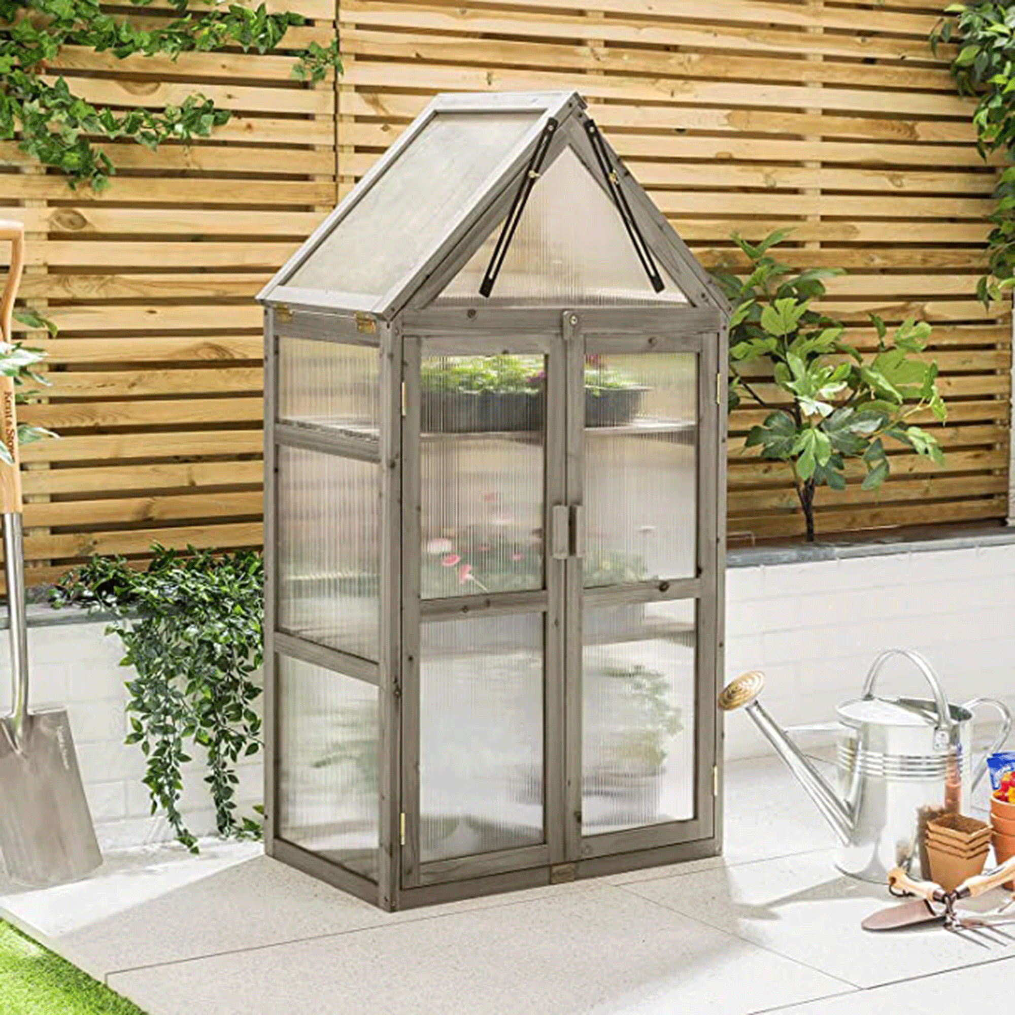 Amazon mini greenhouse