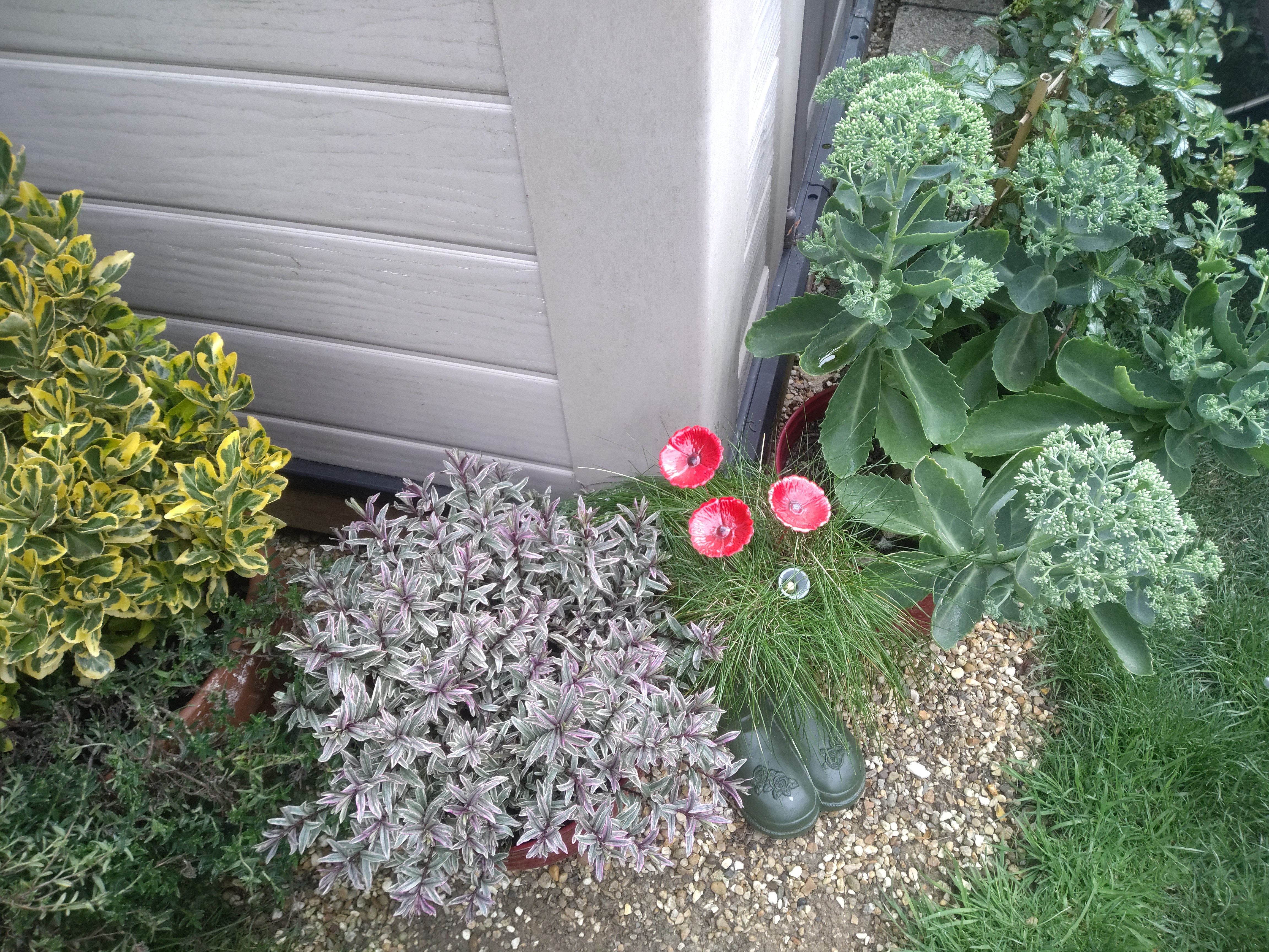 Getax ZX10 G2 camera examples