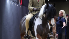 Dazzle-and-Tom-Olympia-crop.png