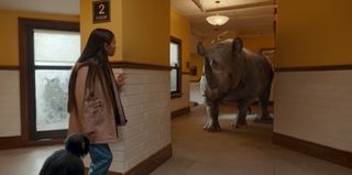 Help there's a rhino in the room!