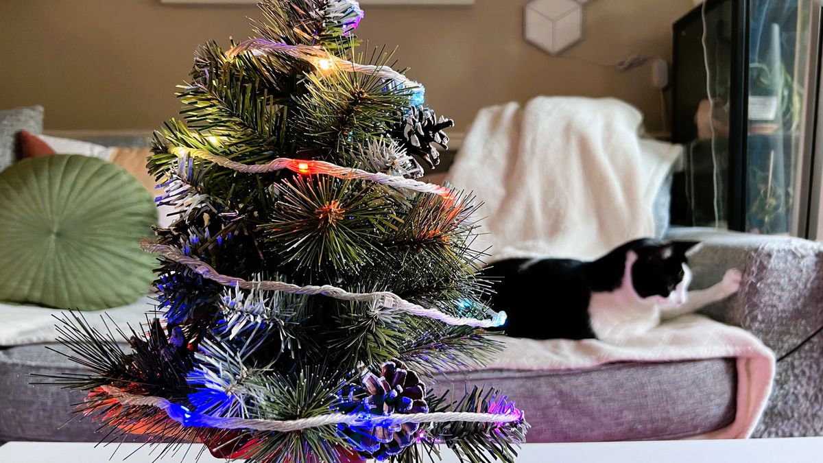 Seanotoole christmas lights