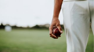 cricket game ball