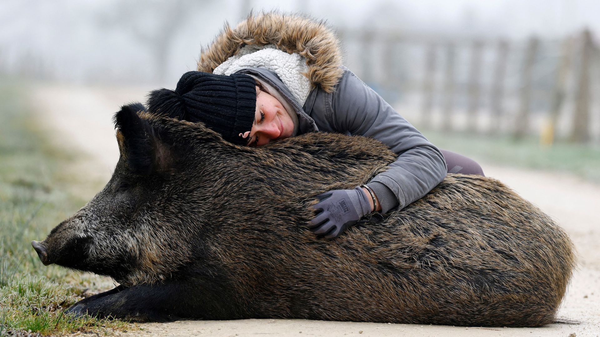 
                                Elodie Cappe embraces Rillette, a wild boar she rescued as a piglet in April 2023, in Chaource, France
                            