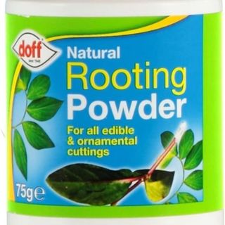 bottle of rooting powder