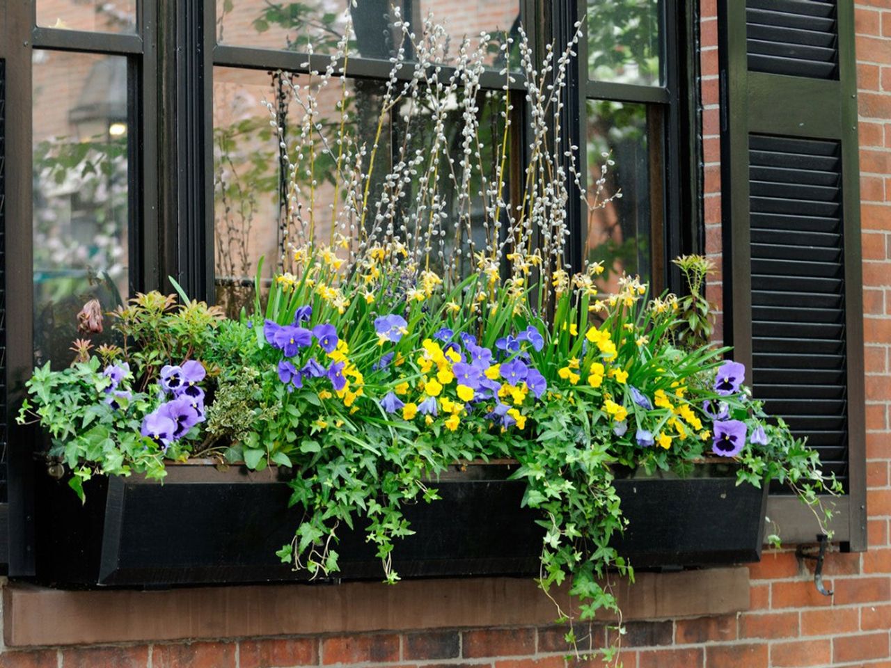 Window Flower Box