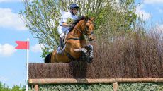 Badminton Horse Trials special prizes: Harry Meade and Superstition