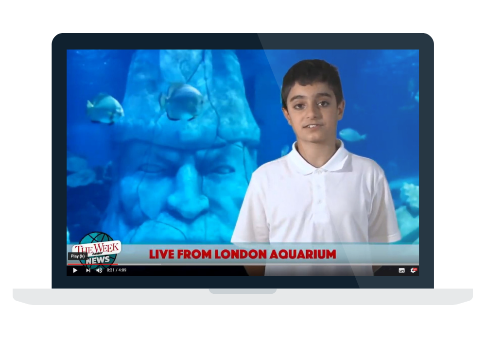 A young boy in school uniform talking to camera with an aquarium backdrop