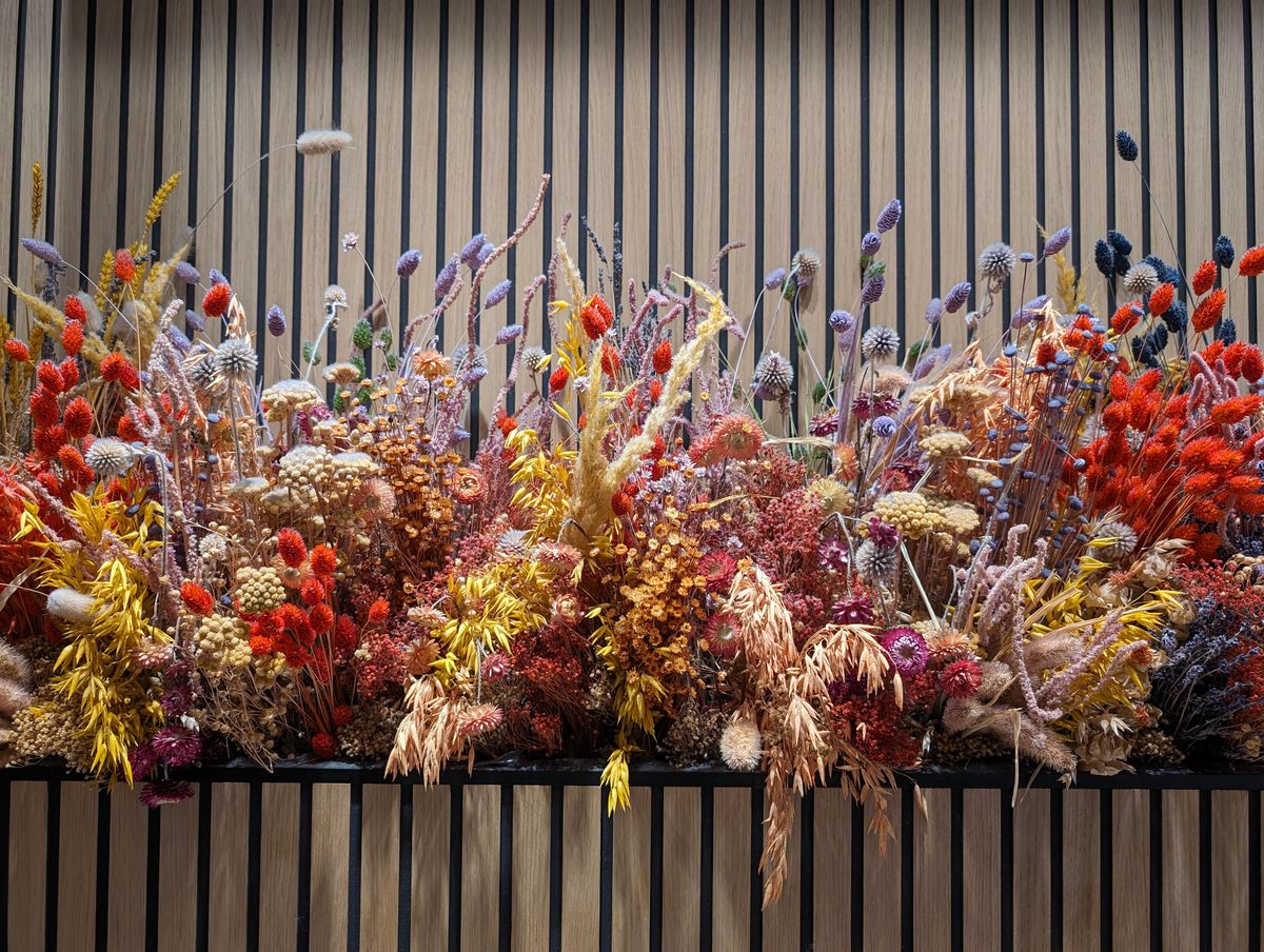 Google Pixel 8 camera sample dried flowers straight