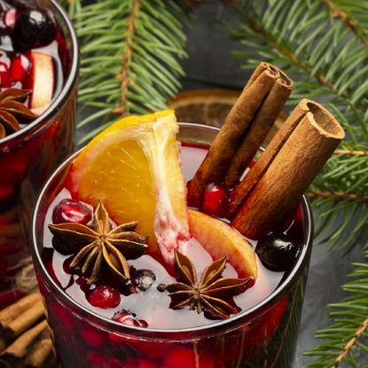 Two glasses of holiday cocktails with cinnamon, orange, and star anise