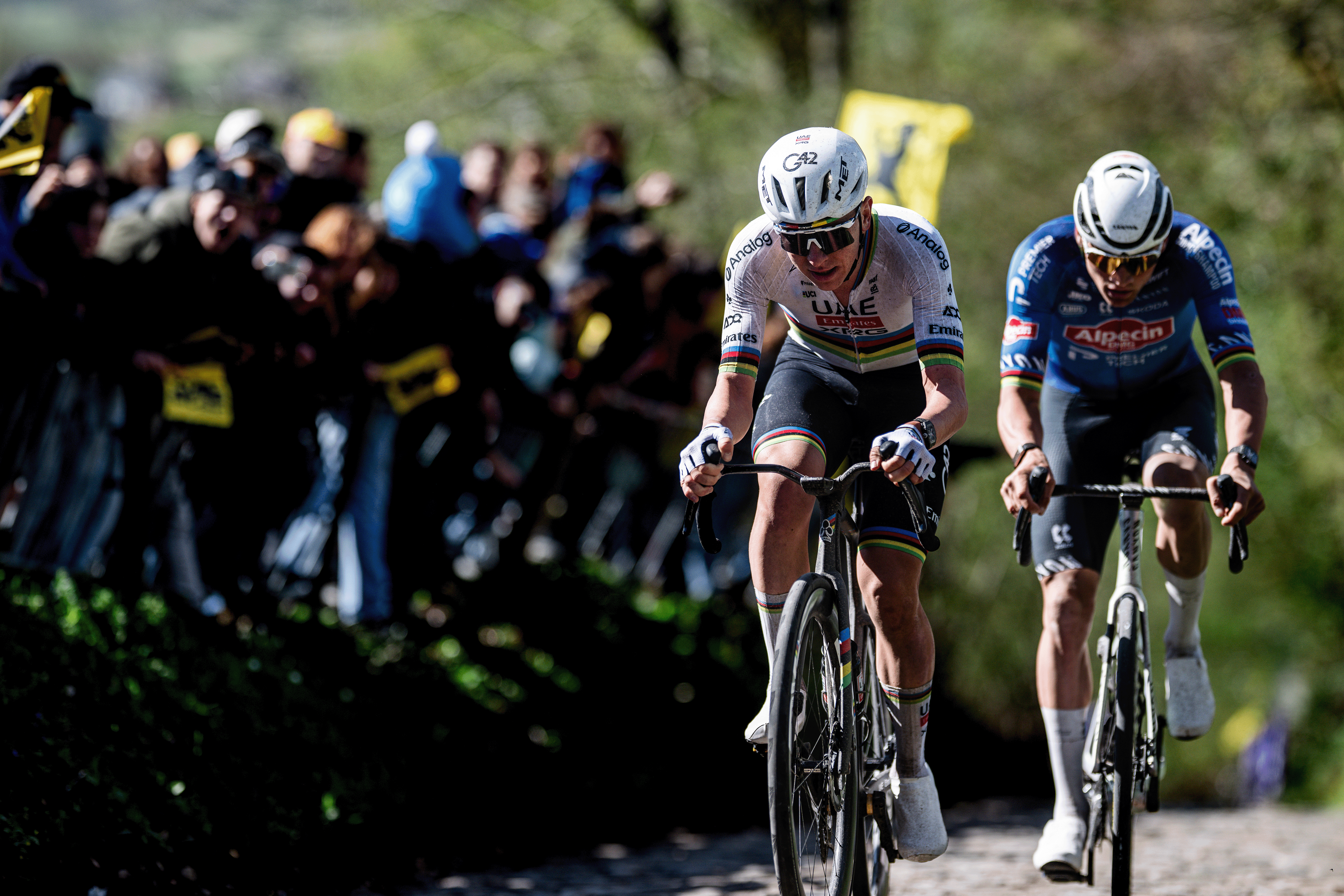 OUDENAARDE, BELGIUM - APRIL 05: (L-R) Tadej Pogacar of Slovenia and UAE Team Emirates - XRG and Mathieu van der Poel of Netherlands and Team Alpecin-Premier Tech compete in the breakaway passing through the Koppenberg cobblestones sector while fans cheer during the 110th Tour of Flanders - Ronde van Vlaanderen 2026 - Men's Elite a 278.6km one day race from Antwerp to Oudenaarde on April 05, 2026 in Oudenaarde, Belgium. (Photo by Billy Ceusters/Getty Images)