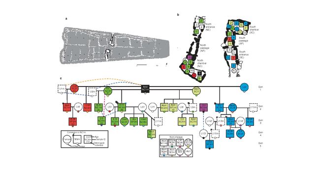 Scientists Just Reconstructed One Of The Oldest Family Trees Ever ...