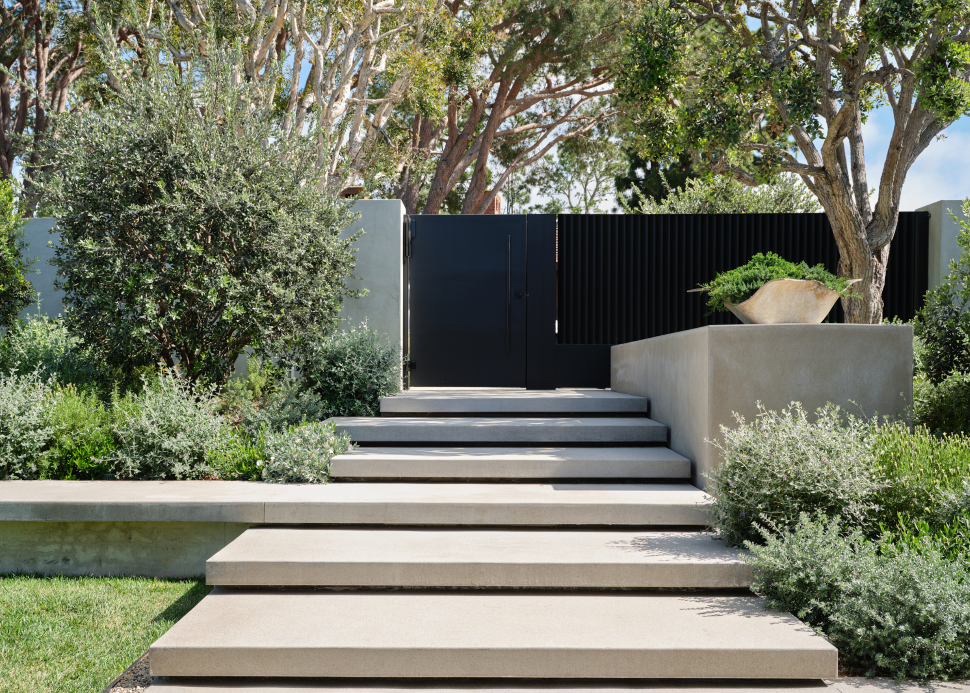 Modern front yard design with tropical plants