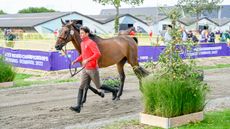 The first horse inspection has taken place at the World Showjumping Championships