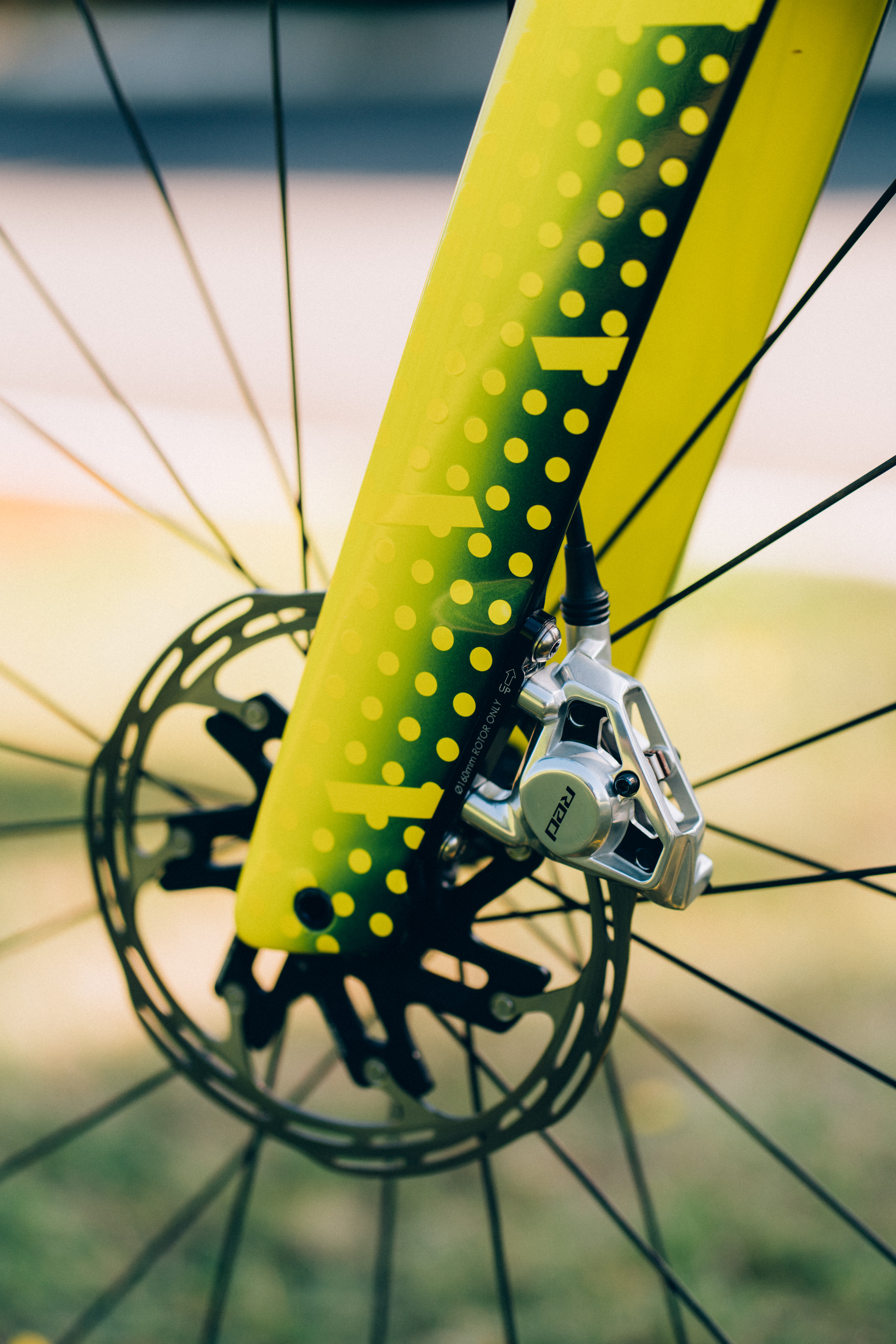 Jonas Vingegaard's bike