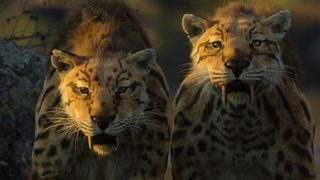 Prehistoric big cats in Life On Our Planet