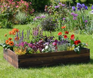 Ayube Wood Raised Garden Bed filled with flowers