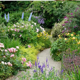 A richly planted English flower garden in high summer containing delphiniums, buddleja and roses.